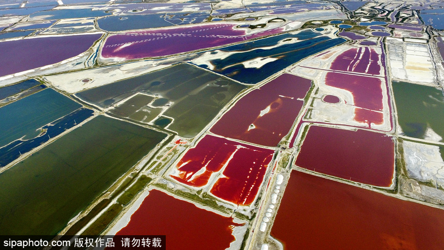 山西運城：持續高溫來襲 千年鹽池變身美麗七彩湖