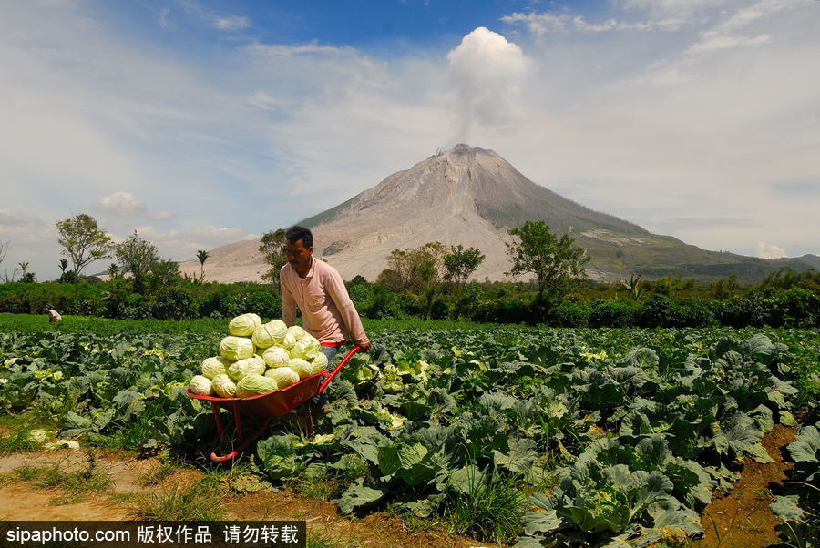 心態好！錫納朋火山熔巖量持續增加 居民淡然生活