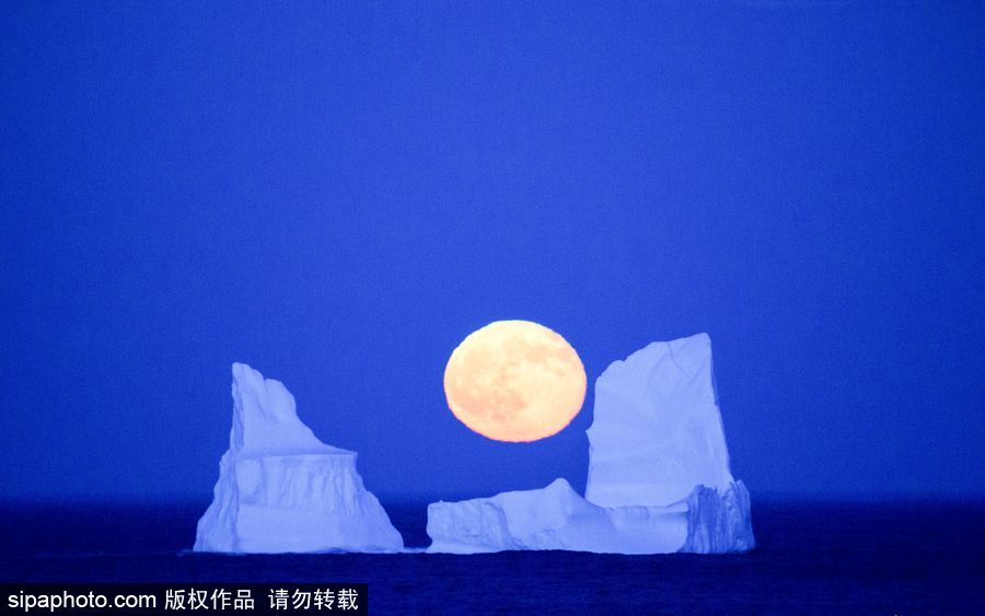 人類月球日 盤點(diǎn)地球視角下的明月當(dāng)空