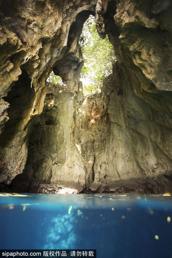 來自海洋深處的震撼力 湯加海底世界絕美大片