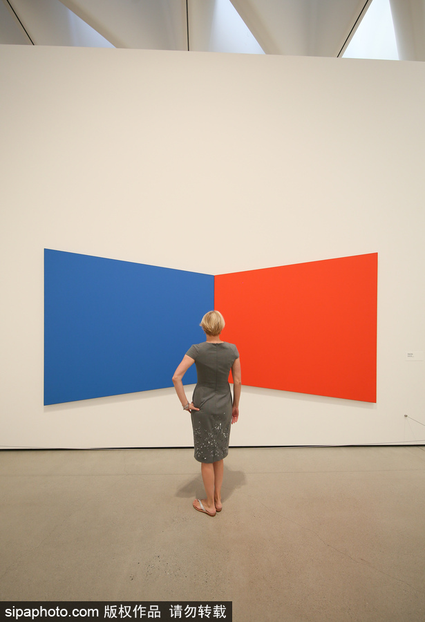 走進(jìn)美國布洛德博物館 開啟生動(dòng)有趣的藝術(shù)之旅