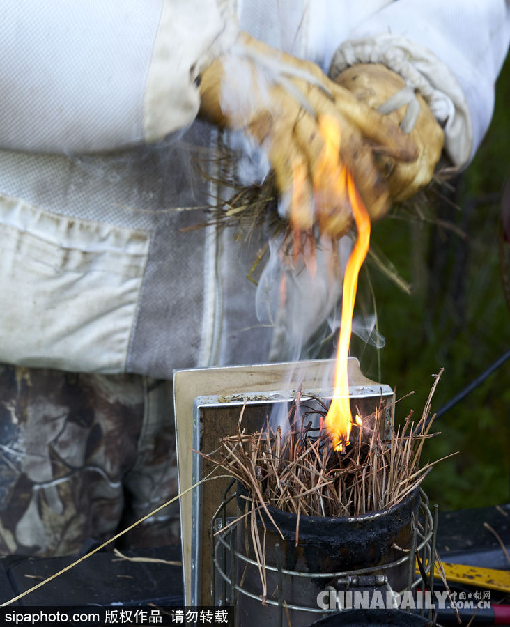 探訪美國弗農養蜂場 滴滴香甜原生態