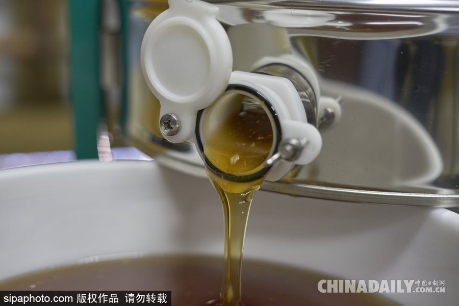 探訪美國弗農養蜂場 滴滴香甜原生態