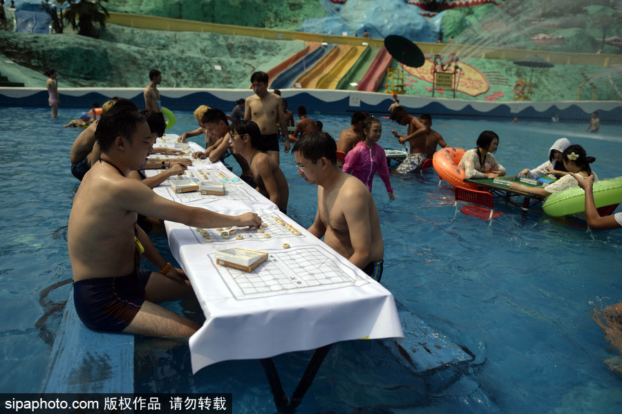 Word天！麻將或成為2022年冬奧會(huì)表演項(xiàng)目 中國(guó)國(guó)粹風(fēng)靡全球歪果仁也愛(ài)玩