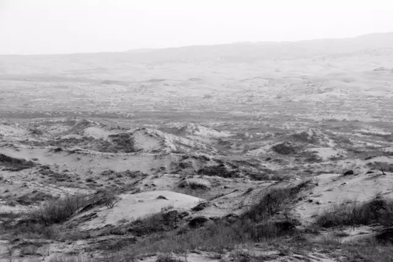 英國小哥到河北塞罕壩避暑，竟意外收獲了一個美麗的故事丨好運中國