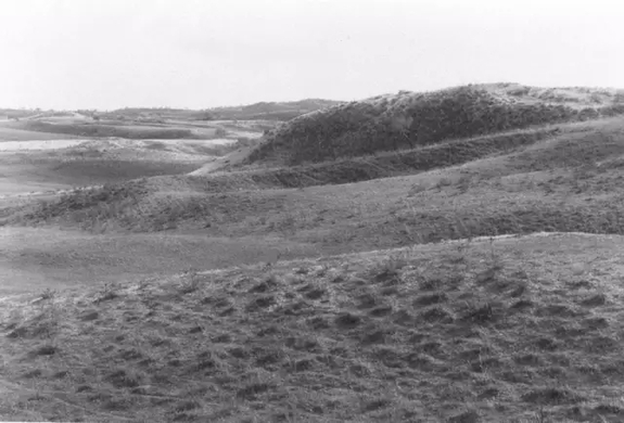 英國小哥到河北塞罕壩避暑，竟意外收獲了一個美麗的故事丨好運中國