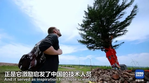 英國小哥到河北塞罕壩避暑，竟意外收獲了一個美麗的故事丨好運中國