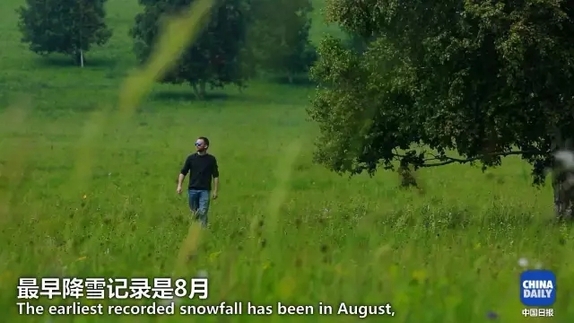 英國小哥到河北塞罕壩避暑，竟意外收獲了一個美麗的故事丨好運中國