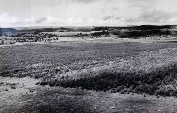 英國小哥到河北塞罕壩避暑，竟意外收獲了一個美麗的故事丨好運中國