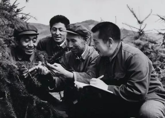 英國小哥到河北塞罕壩避暑，竟意外收獲了一個美麗的故事丨好運中國