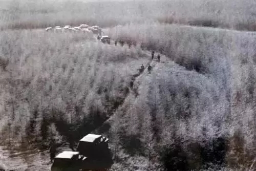 英國小哥到河北塞罕壩避暑，竟意外收獲了一個美麗的故事丨好運中國