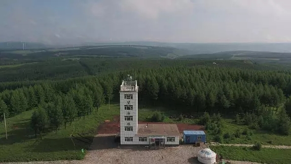 英國小哥到河北塞罕壩避暑，竟意外收獲了一個美麗的故事丨好運中國