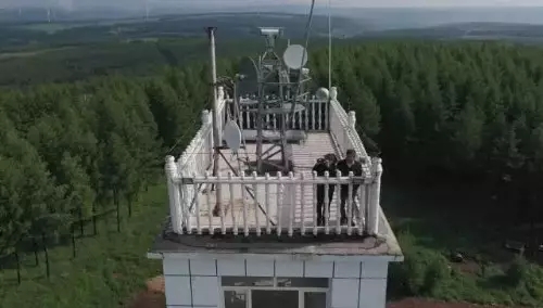 英國小哥到河北塞罕壩避暑，竟意外收獲了一個美麗的故事丨好運中國