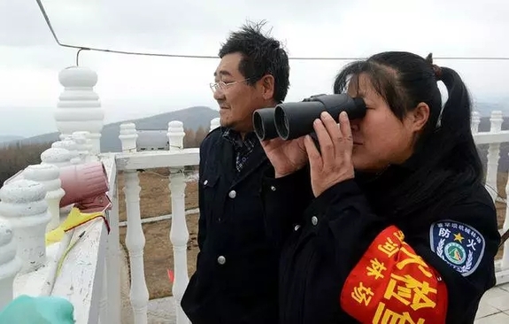 英國小哥到河北塞罕壩避暑，竟意外收獲了一個美麗的故事丨好運中國