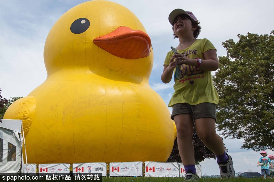 世界最大充氣大黃鴨加拿大碉堡島展出 游客爭相拍照留念