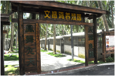 走進文昌,講小鎮(zhèn)故事看滄桑巨變