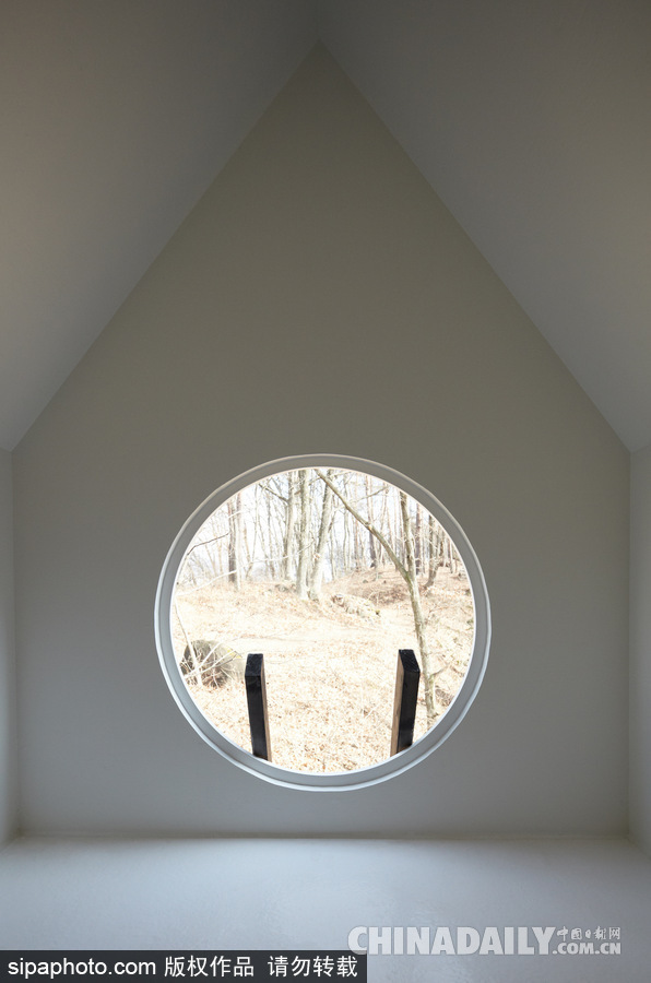 令人驚嘆！日本建筑公司筑起共享樹屋 人類可與鳥兒在屋內同住