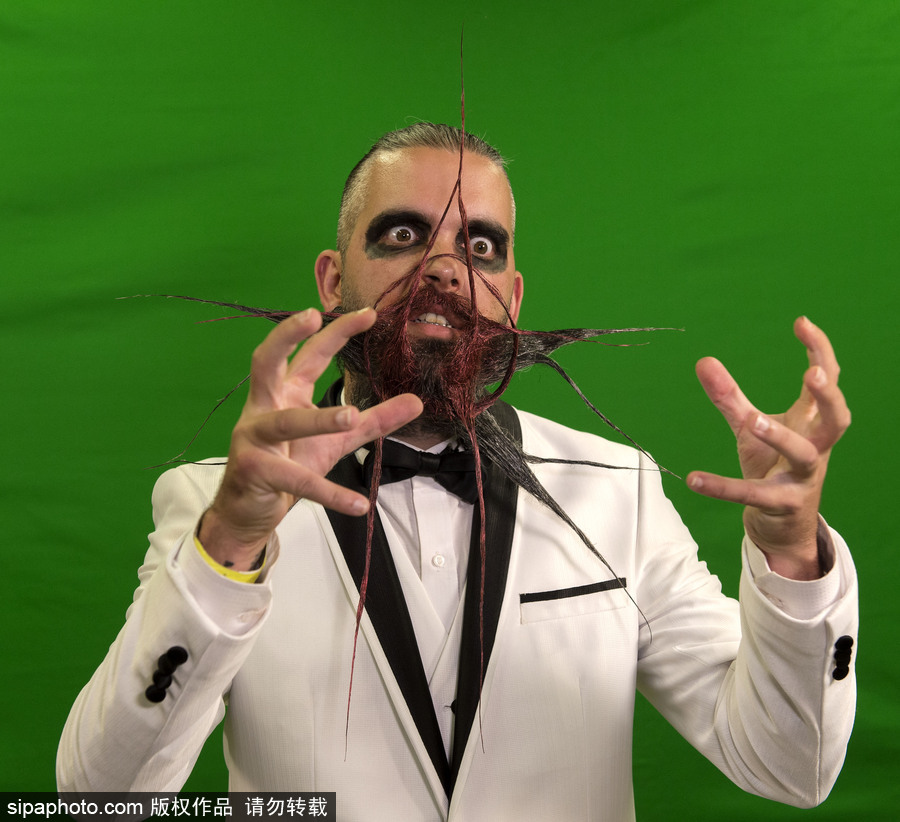 2017年世界留胡子錦標賽：哪款Freestyle你最愛？