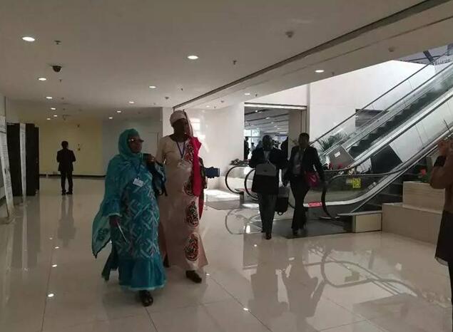 都給您整理好了!關(guān)于《聯(lián)合國(guó)防治荒漠化公約》第13次締約方大會(huì)開(kāi)幕式,這個(gè)最全!