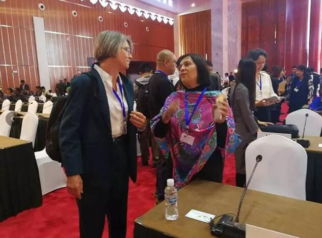 都給您整理好了!關(guān)于《聯(lián)合國(guó)防治荒漠化公約》第13次締約方大會(huì)開(kāi)幕式,這個(gè)最全!