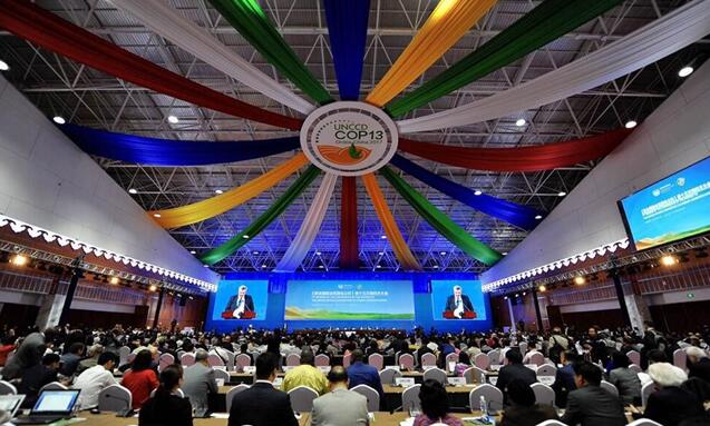 都給您整理好了!關(guān)于《聯(lián)合國(guó)防治荒漠化公約》第13次締約方大會(huì)開(kāi)幕式,這個(gè)最全!