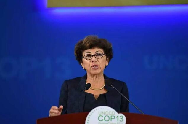 都給您整理好了!關(guān)于《聯(lián)合國(guó)防治荒漠化公約》第13次締約方大會(huì)開(kāi)幕式,這個(gè)最全!