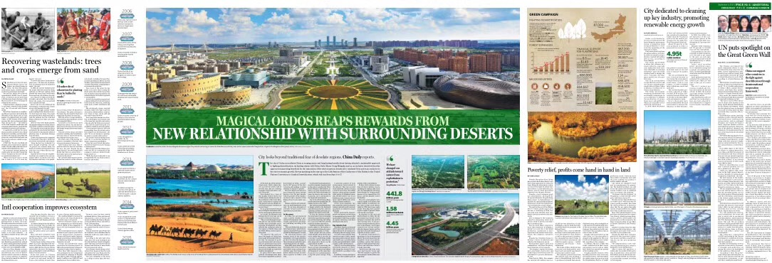 重塑荒漠:綠樹稻谷荒中生
