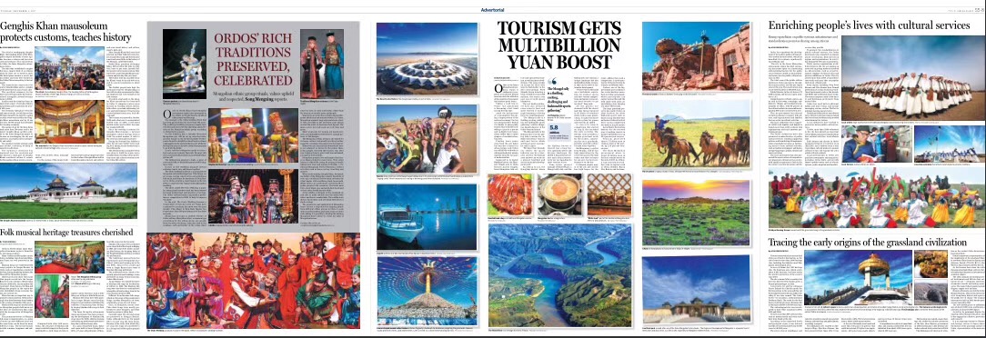 重塑荒漠:綠樹稻谷荒中生