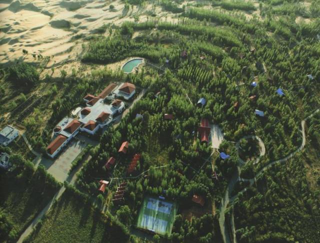 實拍:“風沙之城”鄂爾多斯的治沙傳奇