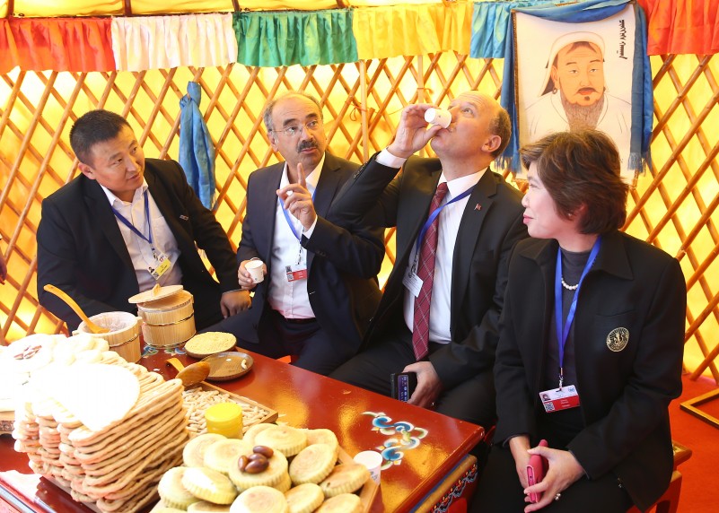 《聯合國防治荒漠化公約》第十三次締約方大會高級別會議開幕