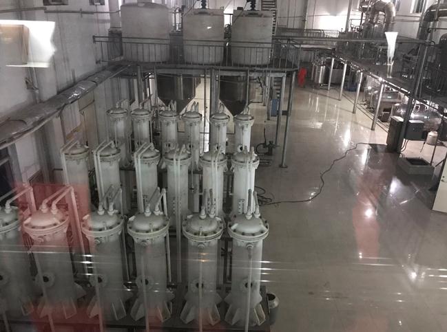 荒漠化防治與經濟效益并行:鄂爾多斯沙棘產業“綠色崛起”