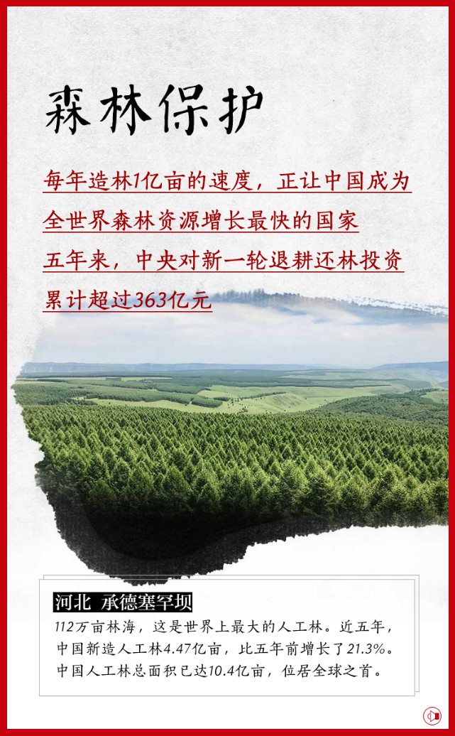 有顏有內涵 大美中國還看今朝