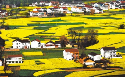 “砥礪奮進的五年”大型成就展展板圖片選登(第一展區)