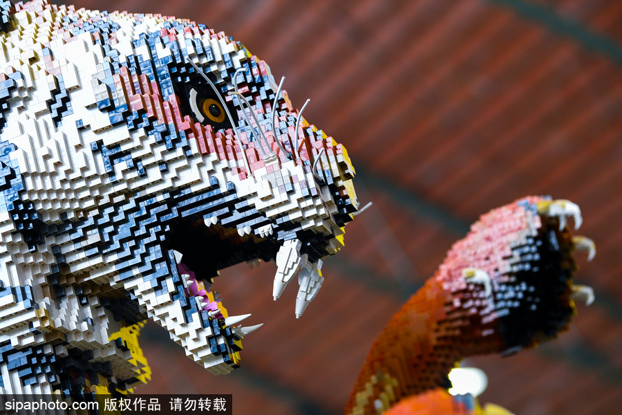 比利時(shí)樂高迷的天堂！世界最大樂高玩具體驗(yàn)中心