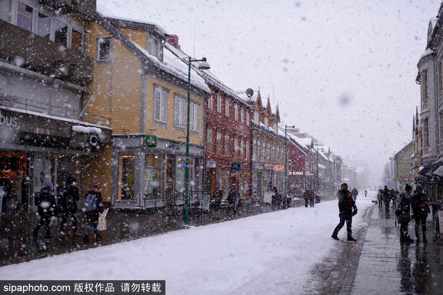 極地城市之旅 北極小鎮挪威特羅姆瑟絕美風光