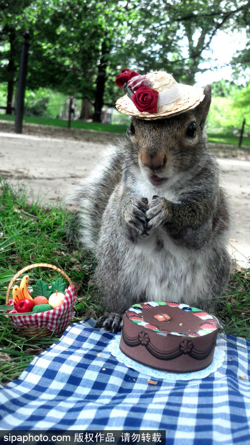 松鼠愛打扮！ 美國社交障礙女生擺拍松鼠一夜爆紅