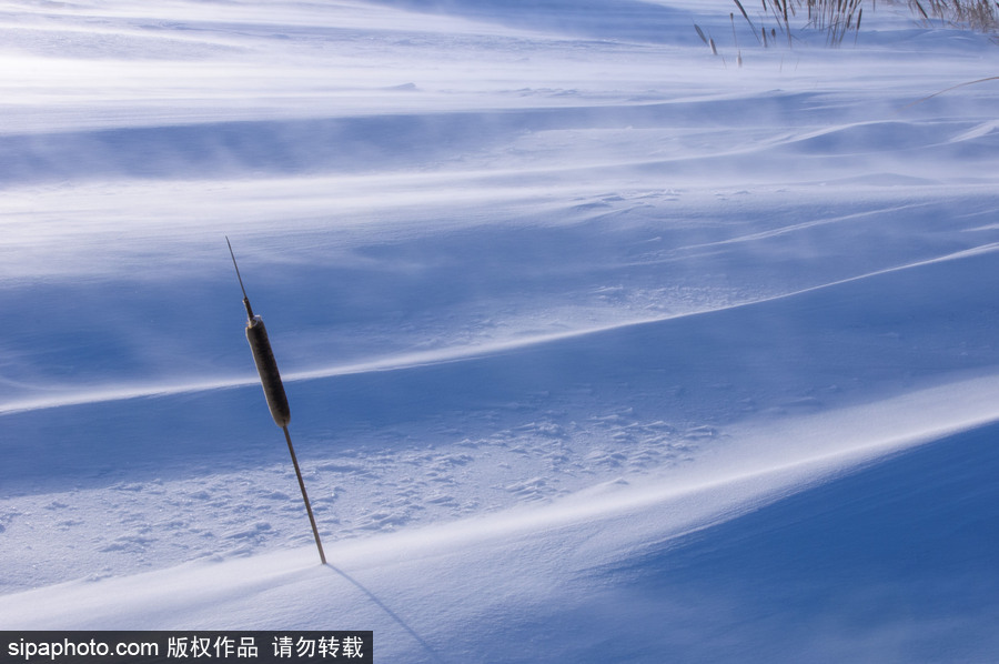 純凈的北方國度 加拿大冬日風光