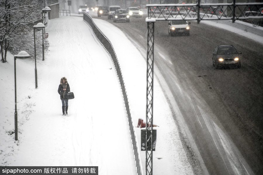 瑞典迎來今年第一場降雪 嚴重影響當地交通