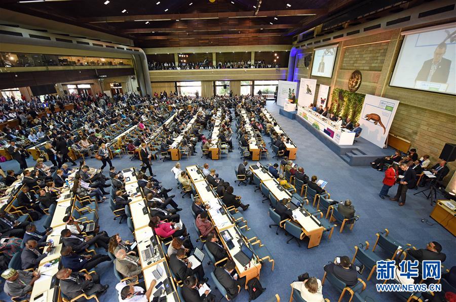 第三屆聯(lián)合國環(huán)境大會聚焦污染治理