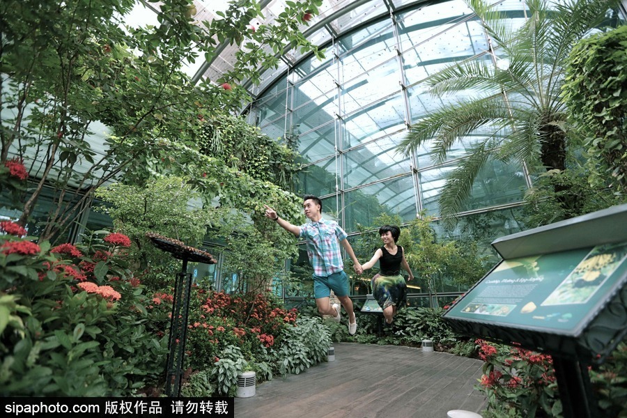 假如我們都有一雙隱形的翅膀 攝影師無PS“懸浮”照片