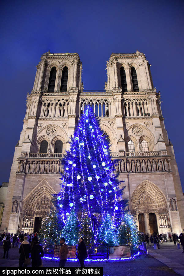 巴黎圣母院前圣誕樹亮燈 迎接圣誕節到來