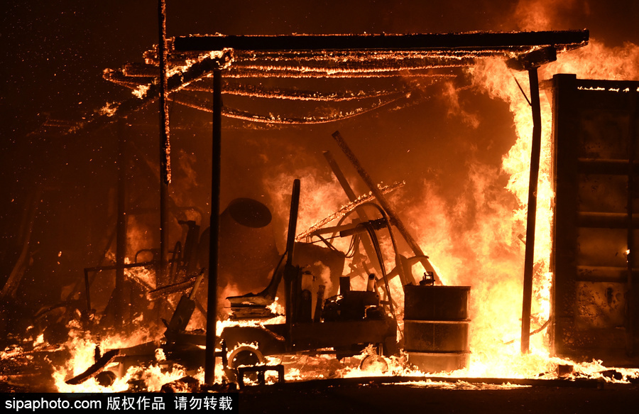 美加州南部突發(fā)野火 場(chǎng)面震撼似“火海”