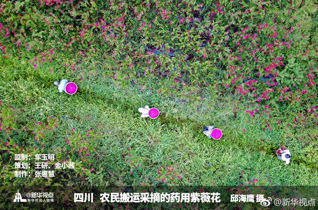 美，源自生活