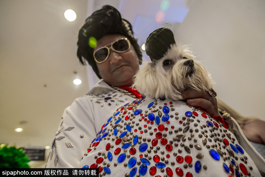 狗狗也扮靚 巴西圣保羅舉辦萌犬服裝比賽