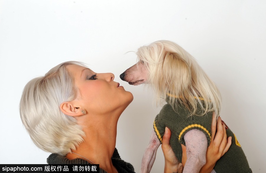 人不如狗系列！ 走進全世界最奢華的狗狗生活