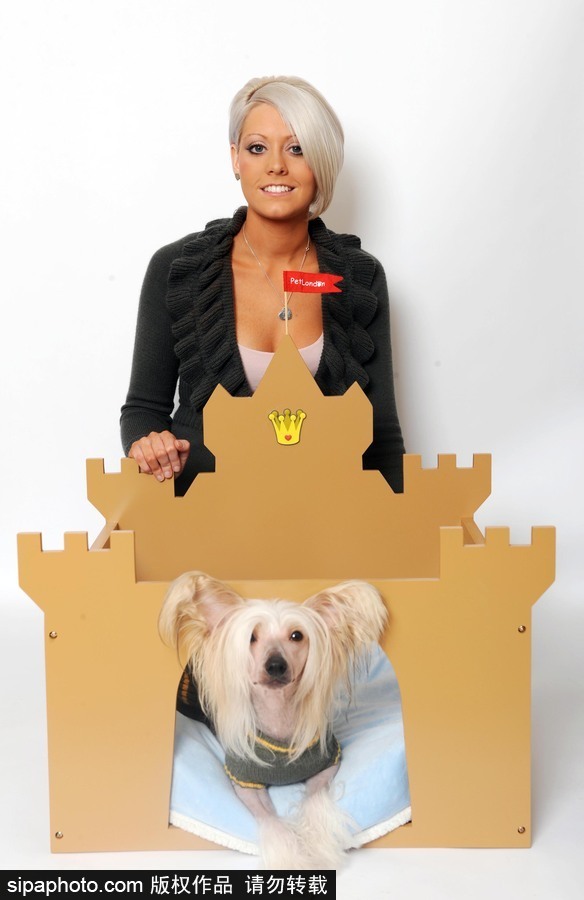 人不如狗系列！ 走進全世界最奢華的狗狗生活