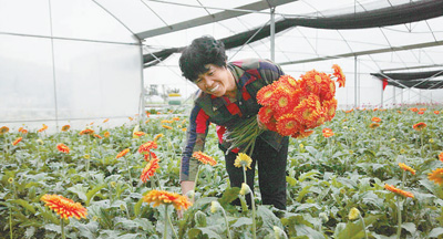 “有她在，我們放心！”——記福建省永安市小陶鎮(zhèn)五一村黨支部書記許光園