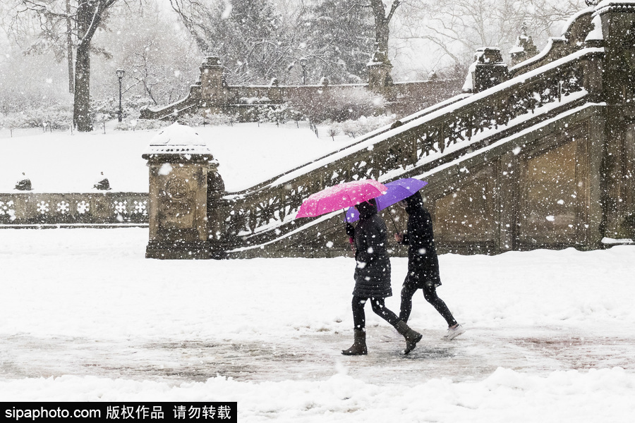這波倒春寒來的迅猛！美國紐約遭遇暴雪天氣