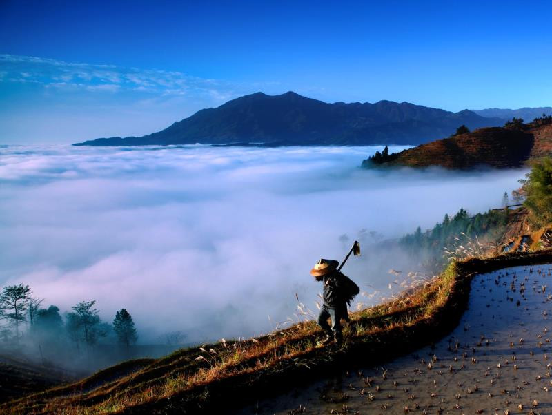 紫鵲界梯田獲“全球重要農業文化遺產”授牌