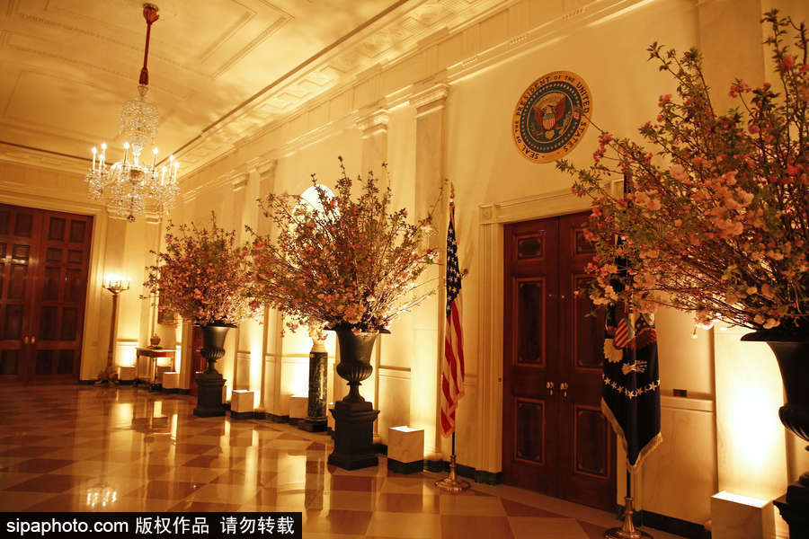 高貴又奢華！特朗普歡迎馬克龍宴會陳設曝光